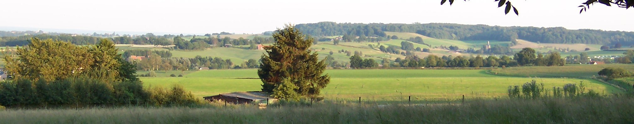 limburg