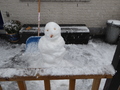 sneeuw 2017