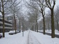 winter