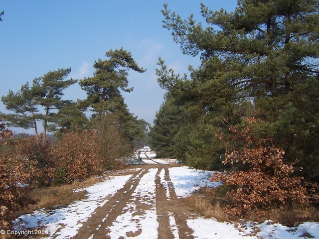 winter
