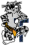 tomcat logo