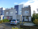 Grauwe Gans 36