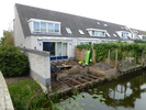 Grauwe Gans 