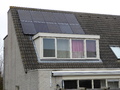 Zonnepanelen Grauwe Gans 