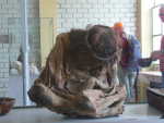 Chauchilla