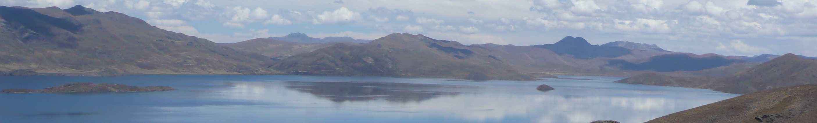 dag11: Puno