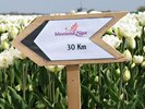 Bloeiend Zijpe