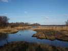 Amsterdamsebos