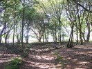 GooiseHeide