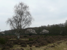 Tafelbergtocht Huizen