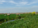WaterlandRoute