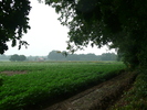 2Daagse Doetinchem