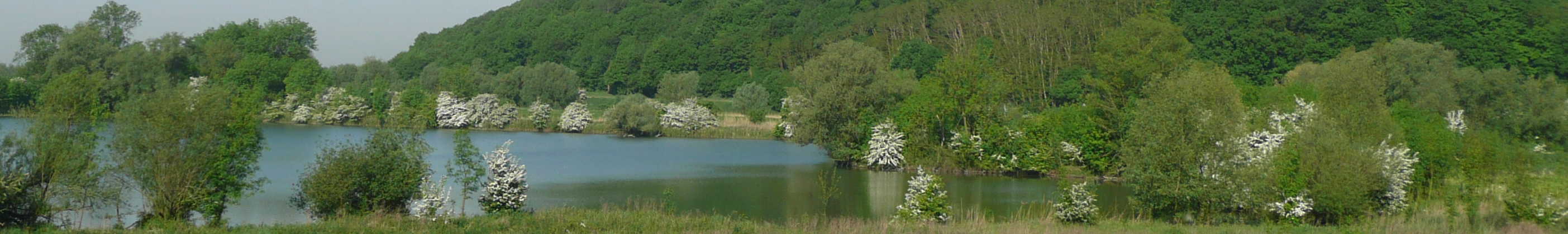 voorbereiding