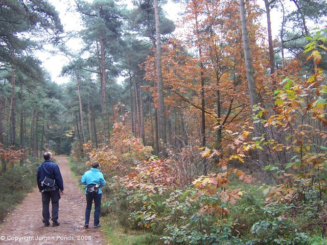 Trekvogelpad