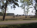 Trekvogelpad