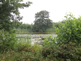 trekvogelpad