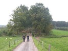Trekvogelpad