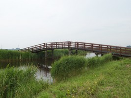trekvogelpad