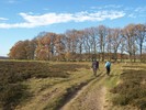 trekvogelpad