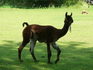 zuiderzeepad