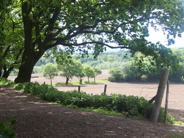 Uitzicht vanuit rustplek